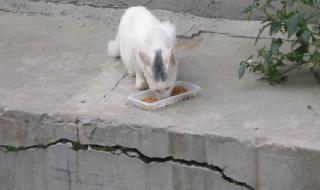 创游世界法外狂徒怎么获得g币钥匙 在下正是法外狂徒