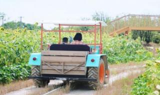 疯狂农场游戏隐藏玩法 疯狂农场3之美国派