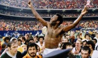 世界杯巴西战绩表